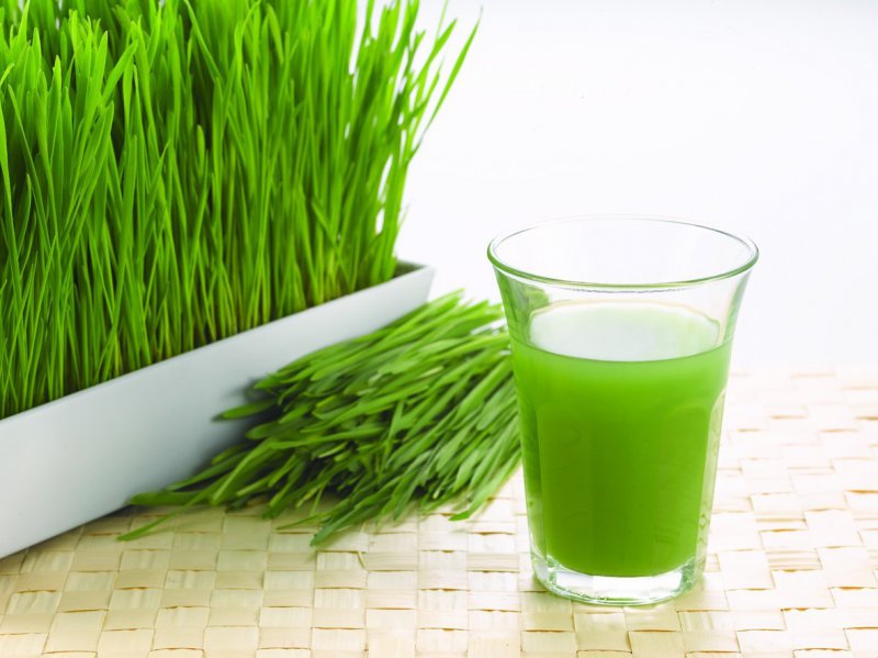 Health benefits of Wheatgrass