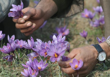How to Test Purity of Saffron (3 Steps)