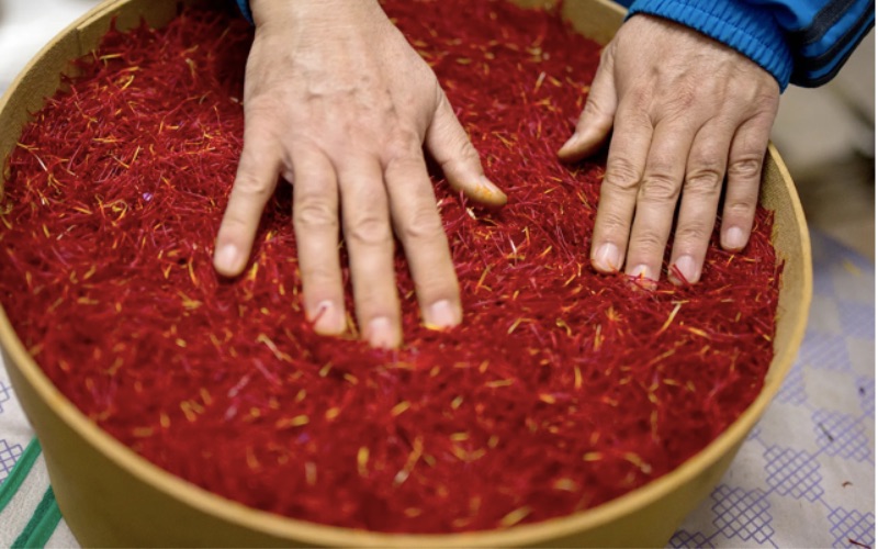 Where to buy original Kashmiri Saffron?