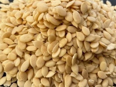 Organic MuskMelon Seeds