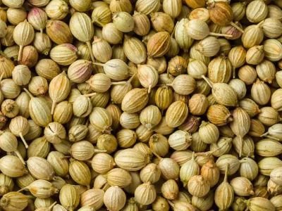 Coriander Seeds