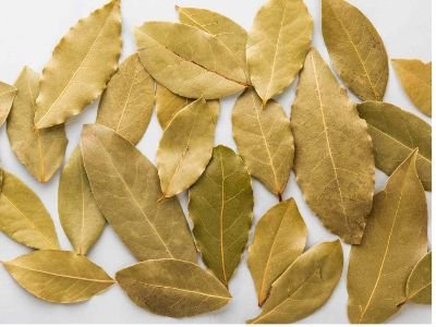Bay Leaf