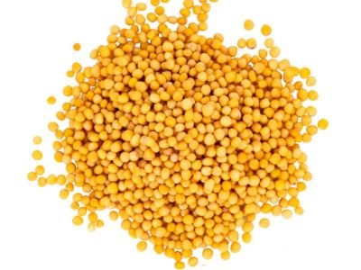 YELLOW MUSTARD