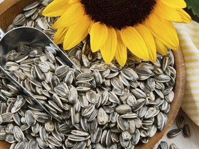 Organic Sunflower Seeds