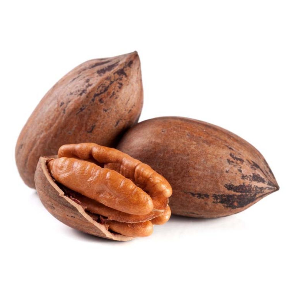 pecan