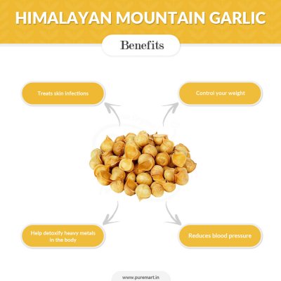 Himalayan Garlic
