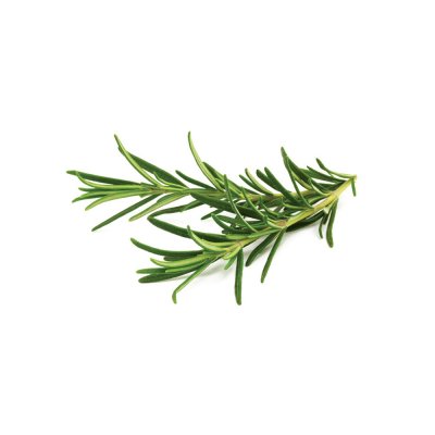 Rosemary Essential Oil