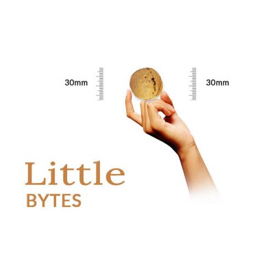 Walnut in Shell (Paper Shell), Little Bytes