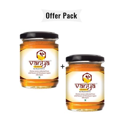 Raw and Unprocessed Pure Himalayan Honey 500 GMS, Pack of 2