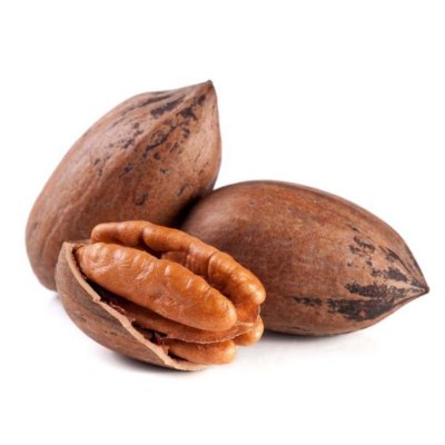 Pecan Nut in Shell