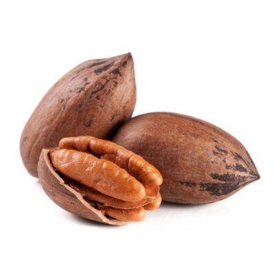 Pecan Nut in Shell