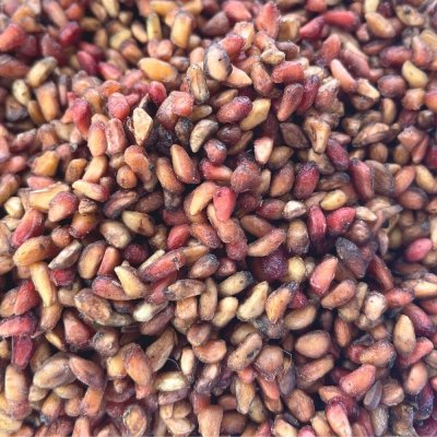 Jammu Anrdana (Pomgrenade Seeds), 250 GMS