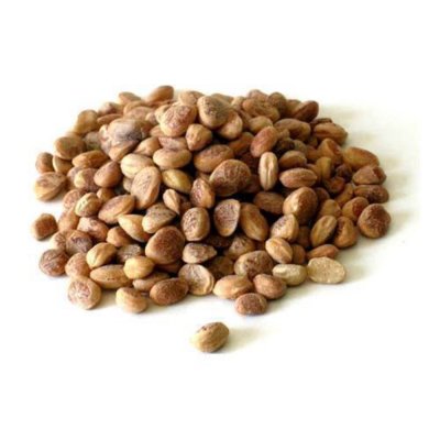 Chironjee Seeds, 250 GMS