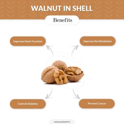 Walnut in Shell, Special Delight