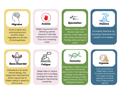 Saffron & Shilajit Combos