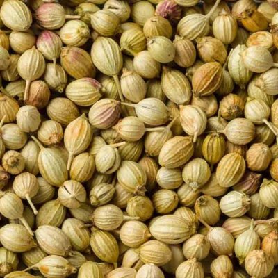Coriander seeds 100GMS