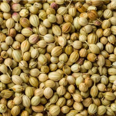 Coriander seeds