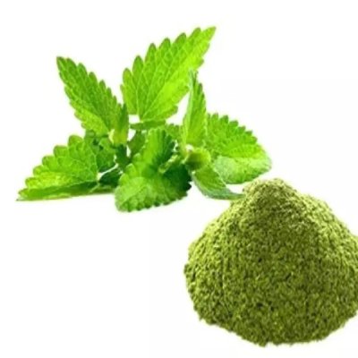 Dry Mint Powder