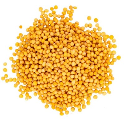 YELLOW MUSTARD SEEDS